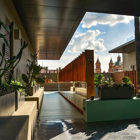 Hotel Criol Querétaro Extérieur photo The rooftop garden