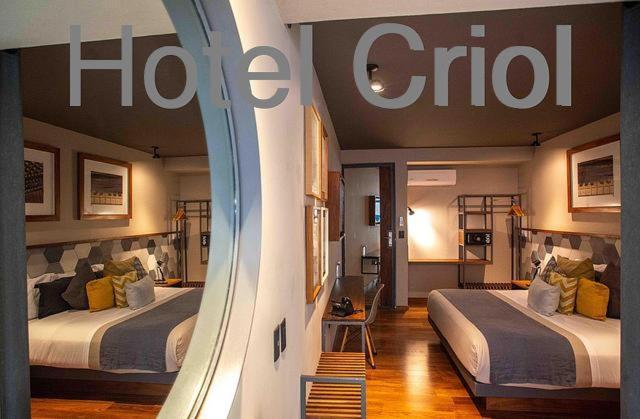 Hotel Criol Querétaro Extérieur photo