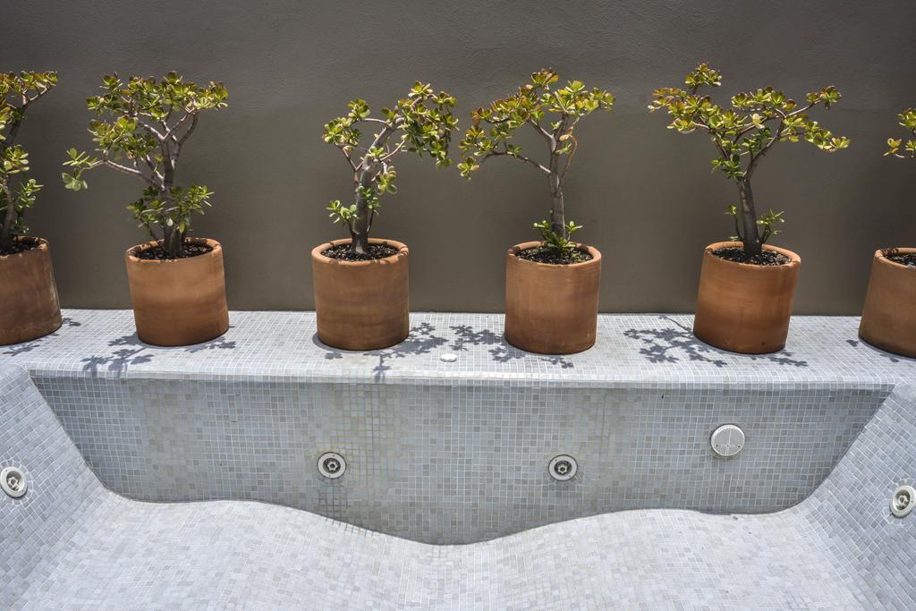 Hotel Criol Querétaro Extérieur photo Plants in a hydroponic system