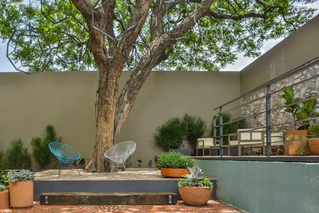 Hotel Criol Querétaro Extérieur photo A contemporary garden in Austin, Texas