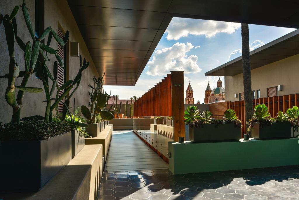Hotel Criol Querétaro Extérieur photo The rooftop garden